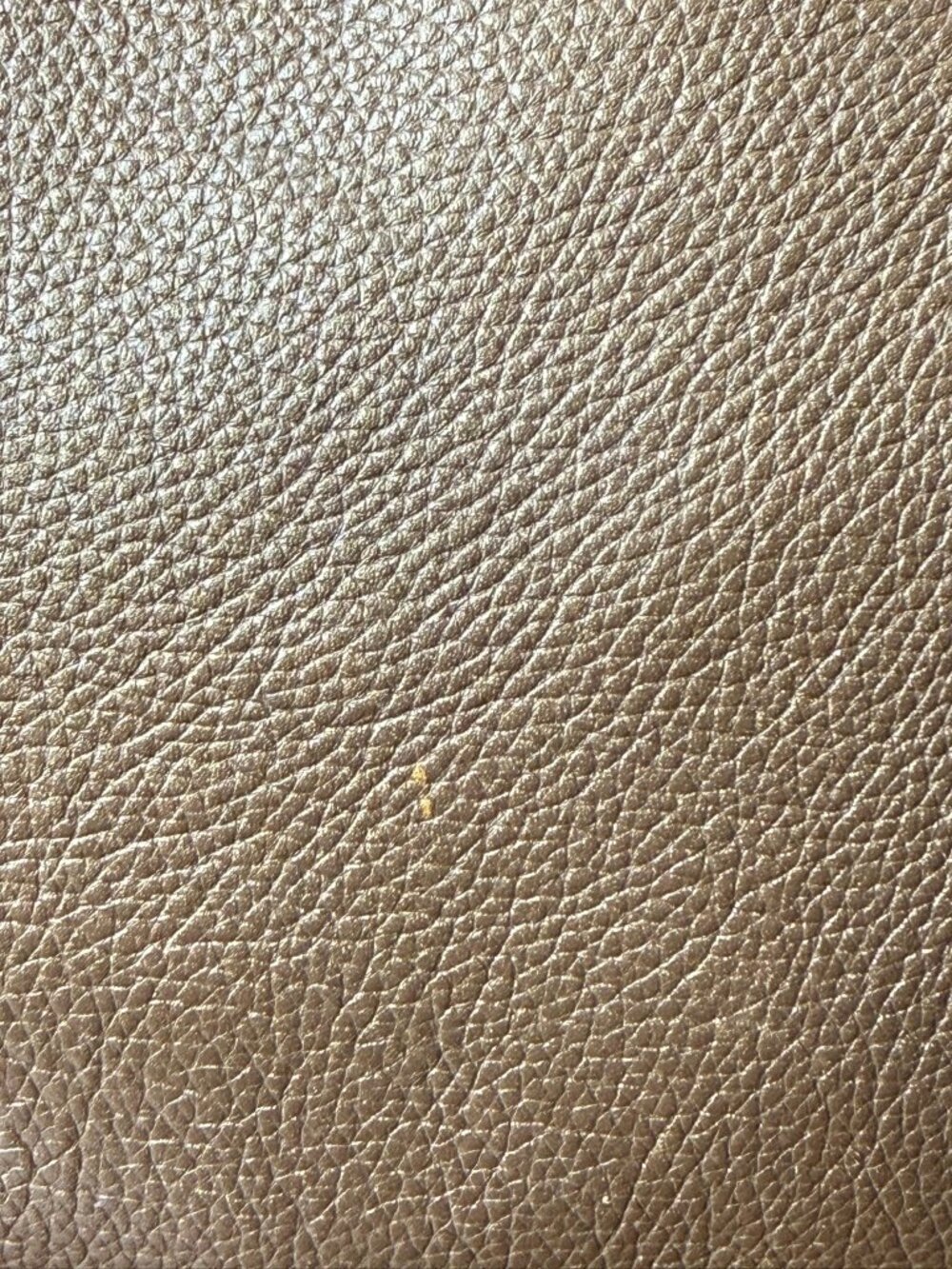 Coach Alexandra Convertible Tote – Metallic Bronze Pebble Leather (2011) - Picture 13 of 15